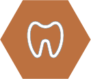 icon-exp-dental-org